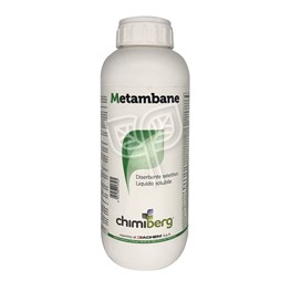 METAMBANE CHIMIBERG - LT 1